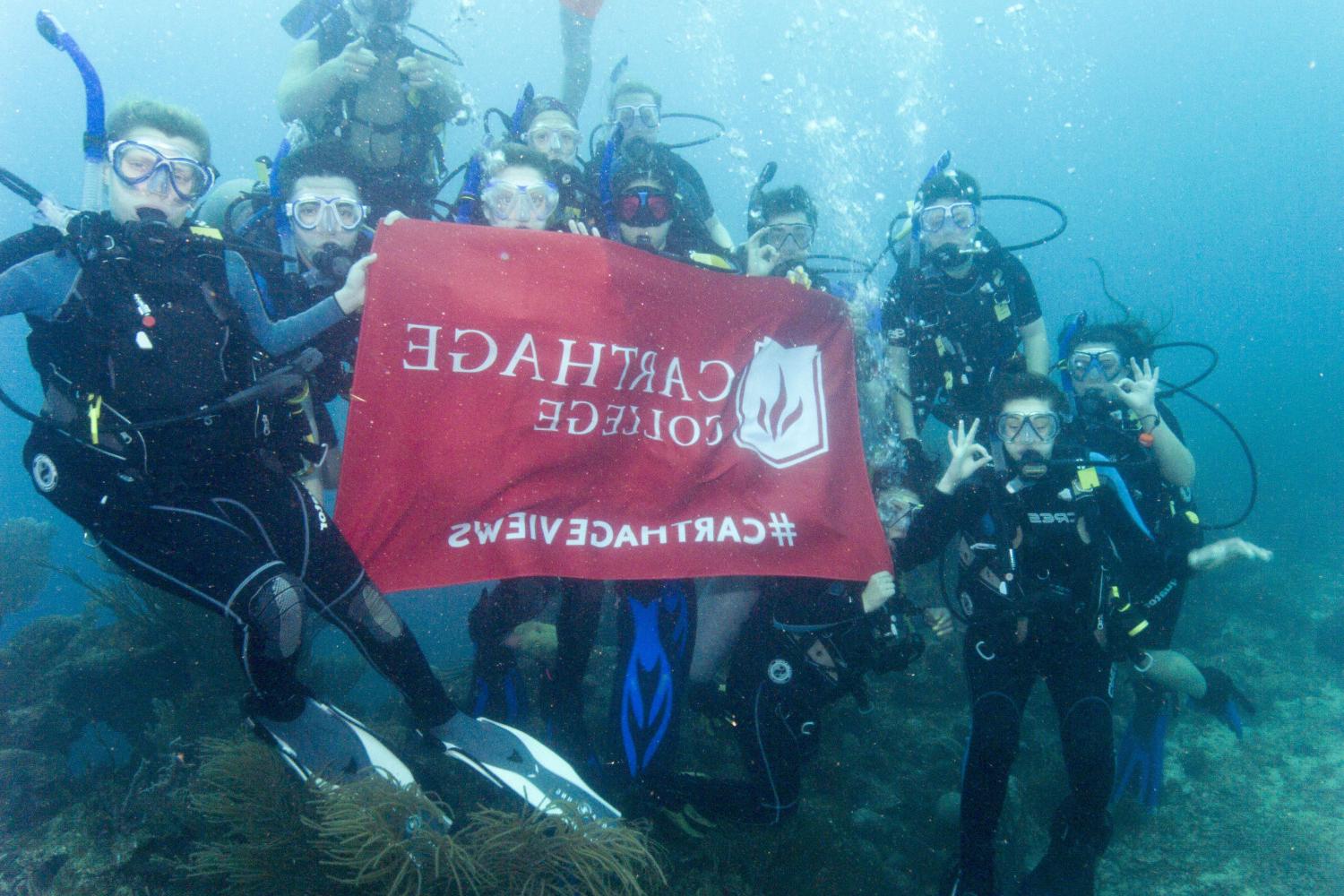 学生们手持<a href='http://oqma.ngskmc-eis.net'>博彩网址大全</a>旗帜，在j学期洪都拉斯游学之旅中潜水.